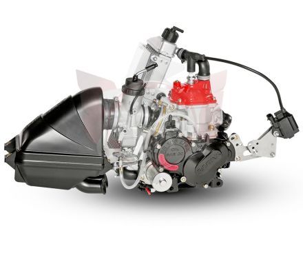 Motor 125 Mini Max Evo 2022