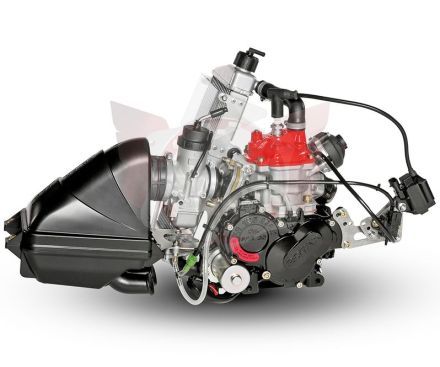 Motor 125 Max Evo 2022